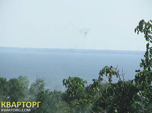 Rent out house. Киевская обл., Старые Петровцы — photo 2