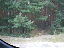 Sell house. Киевская обл., Хвойная — photo 6