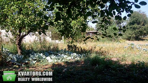 Sell house. Киевская обл., Боярская — photo 5