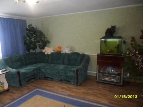 Sell house. Киевская обл., центральная — photo 1