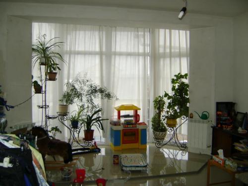 Sell house. Киевская обл., Леси Украинки — photo 5