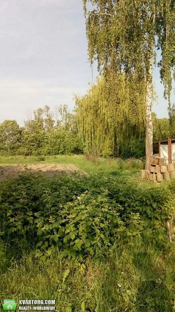Sell house. Бровары, Калита — photo 4