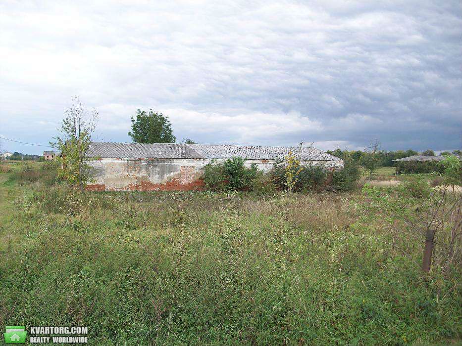 Sell warehouse. Львов, Самбор — photo 4