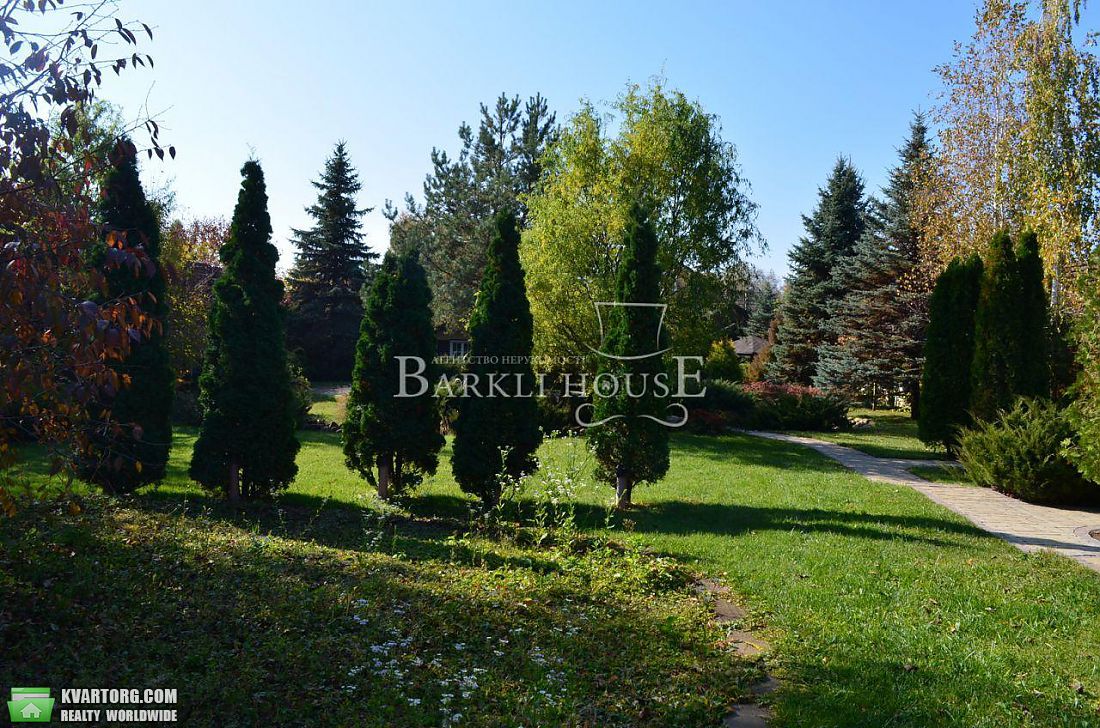 Rent out house. Киевская обл., Большая Дамба — photo 8