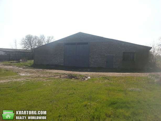Sell warehouse. Херсон, п. Зеленовка — photo 4