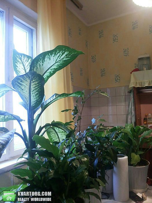 Sell 1-room apartment. Киев,  Цветаевой — photo 8