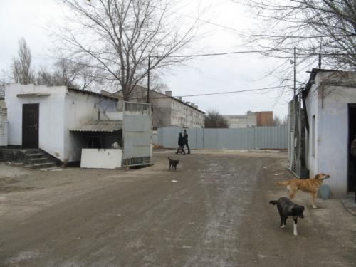 Rent out warehouse. Николаев, Широкая Балка — photo 1