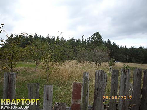 Sell house. Киевская обл., Киевская — photo 6