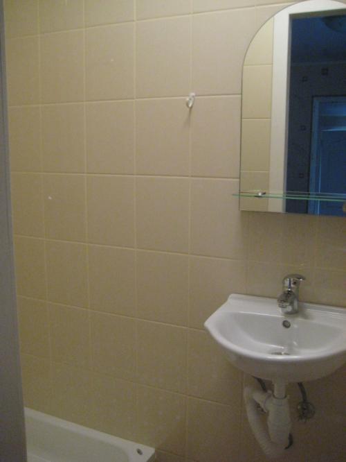 Rent out house. Киев, Лютневый пер. — photo 4