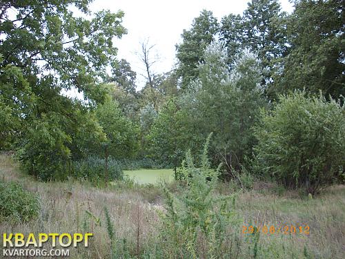 Sell house. Киевская обл., Киевская — photo 1