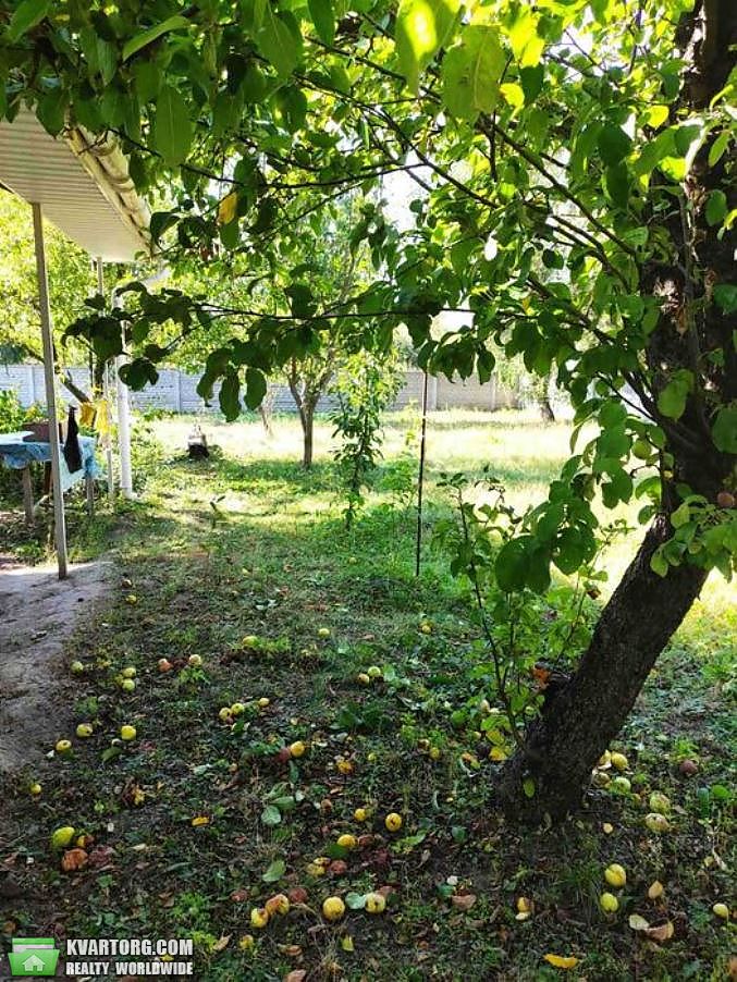 Sell house. Киевская обл., с.Сухолесы — photo 9