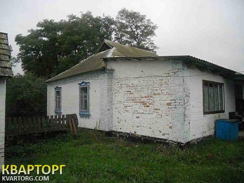 Sell house. Киевская обл.,  Бажана — photo 3
