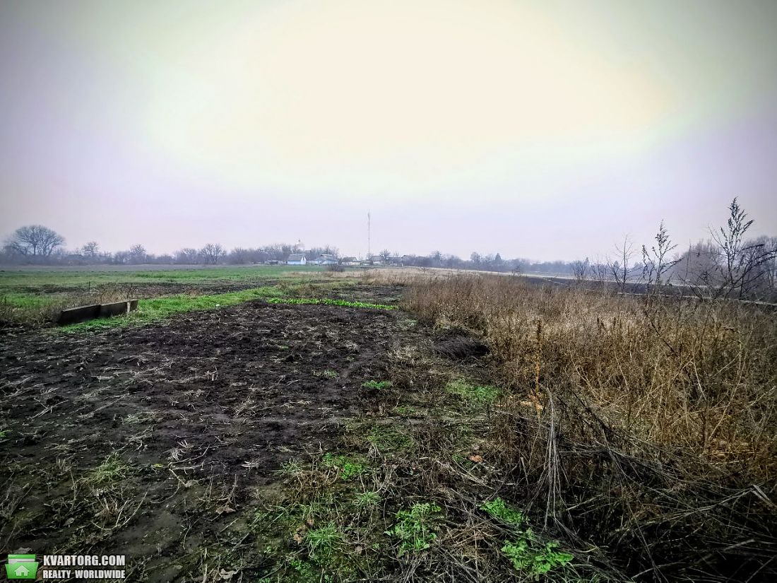 Sell house. Киевская обл., Кривошиївці — photo 9