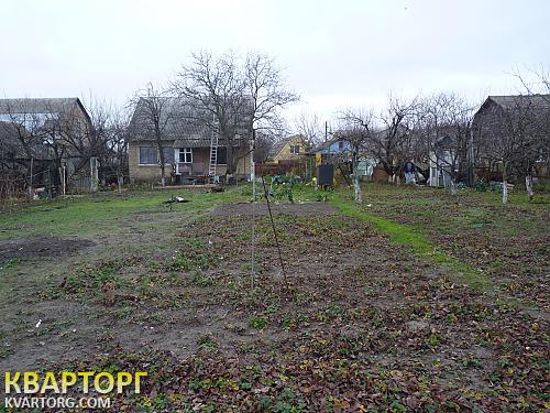 Sell house. Киевская обл.,  Боженко — photo 3