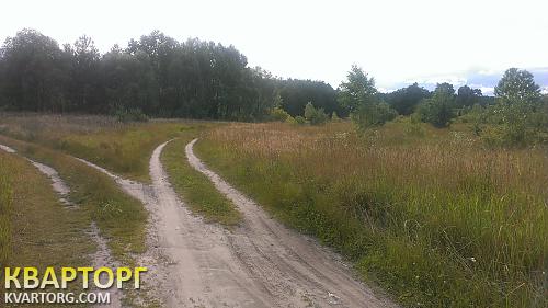 Sell house. Киевская обл., главная — photo 2