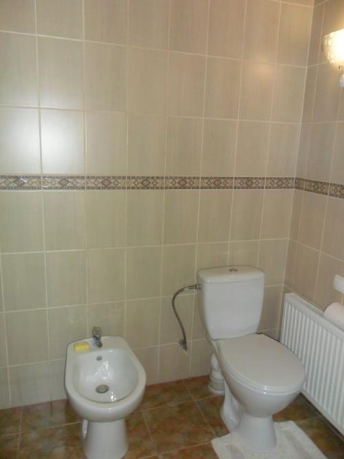 Rent out house. Днепропетровск, Аэродромная — photo 10