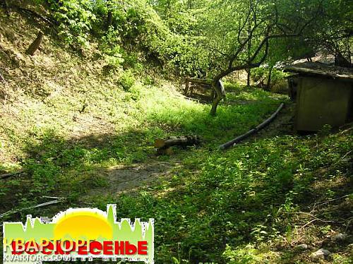 Sell house. Киев, Квитки-Основьяненко — photo 5