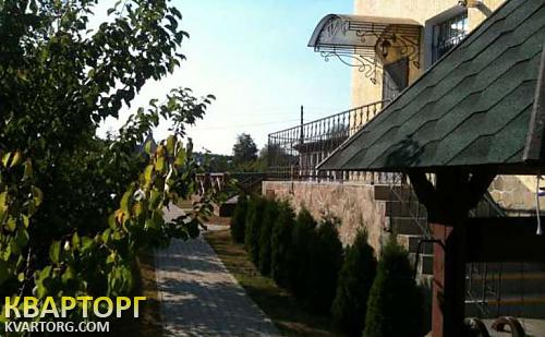Rent out house. Киевская обл., Николаевка — photo 5