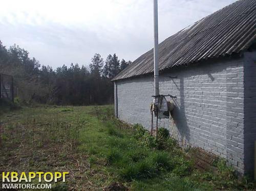 Sell house. Киевская обл., большая офирная — photo 3