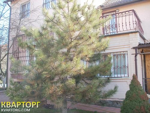 Rent out house. Киев, Хлепча — photo 1