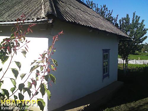Sell house. Киевская обл., 111 — photo 3