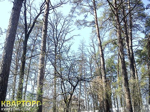 Sell house. Киевская обл., Ярослава Мудрого — photo 1
