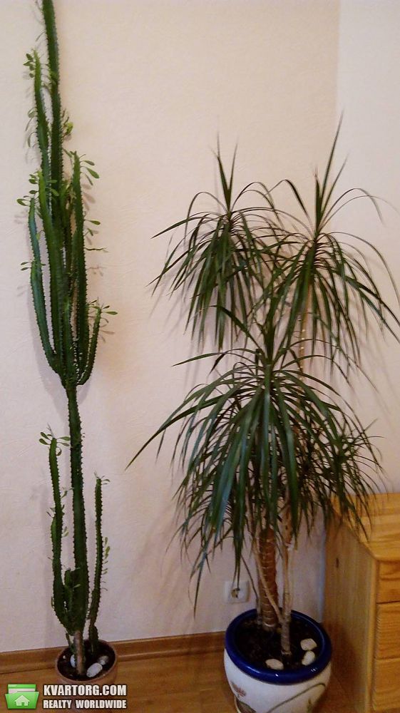 Rent out 2-room apartment. Киев, Каштановая — photo 9