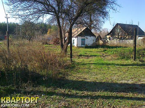 Sell house. Васильков, Плесецьке — photo 2