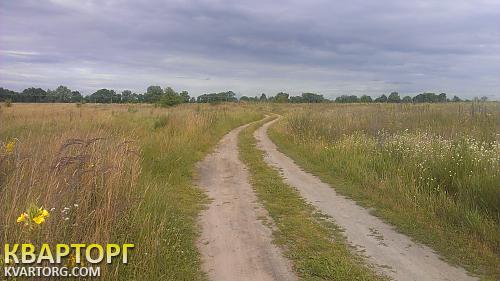 Sell house. Киевская обл., главная — photo 1