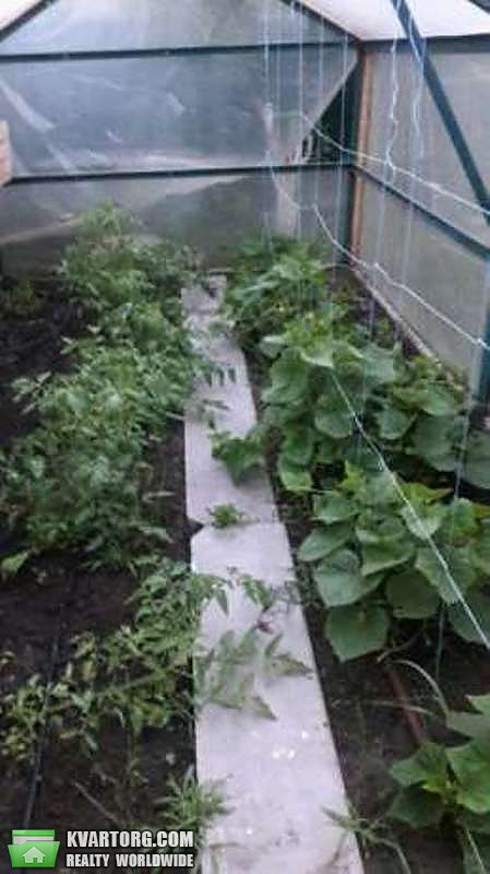 Sell house. Полтава, г. Комсомольск — photo 5