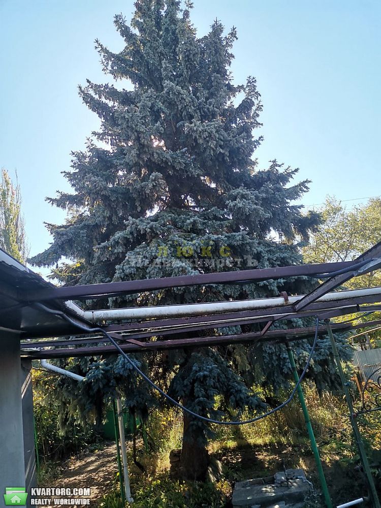 Sell house. Одесса, Черноморка — photo 10