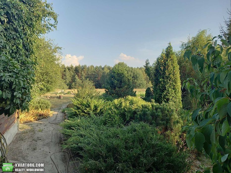 Sell house. Вышгород, Абрамівка — photo 6