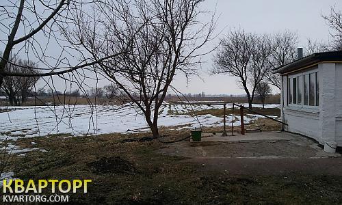 Sell house. Киевская обл., Іванків — photo 4