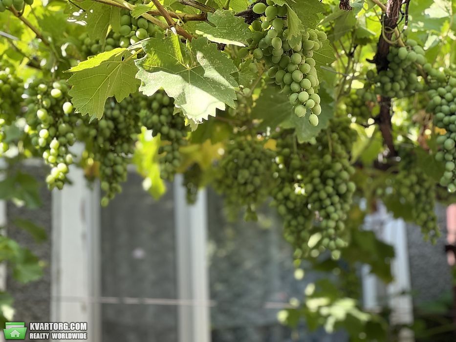 Sell house. Одесса, Балта — photo 7