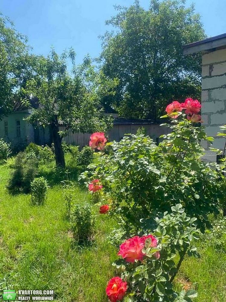 Sell house. Киевская обл., Макарів — photo 7