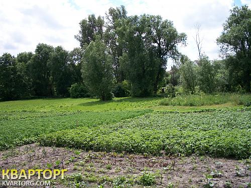 Sell house. Киевская обл.,  Щорса — photo 4