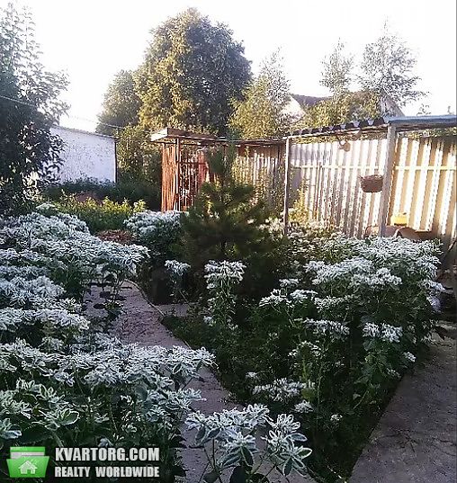 Sell house. Киевская обл., Кленово — photo 5