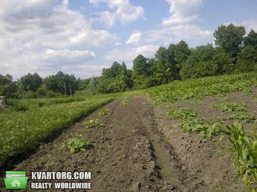 Sell house. Киевская обл., Семенивка — photo 5