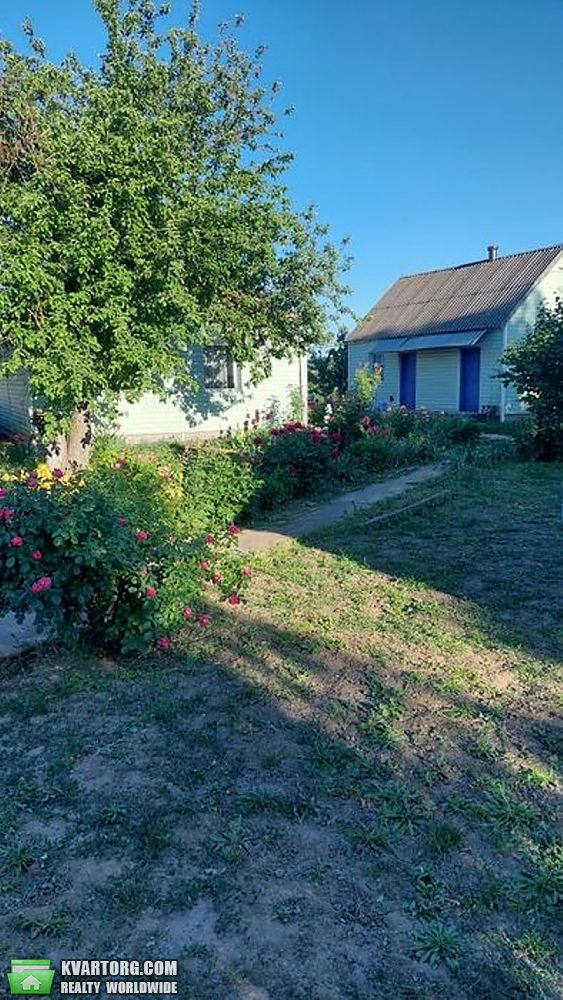 Sell house. Киевская обл., Мала Сквирка — photo 2