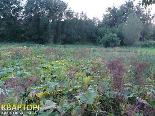Sell house. Черкассы, Леськово — photo 9