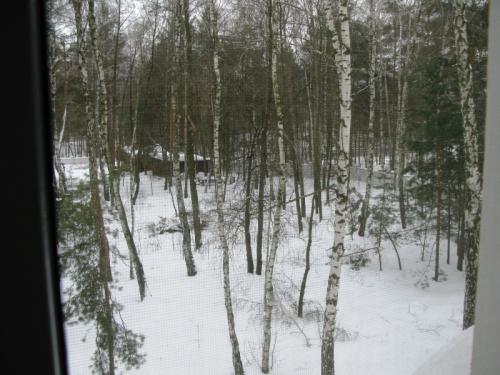 Sell house. Киевская обл., Лесная — photo 7