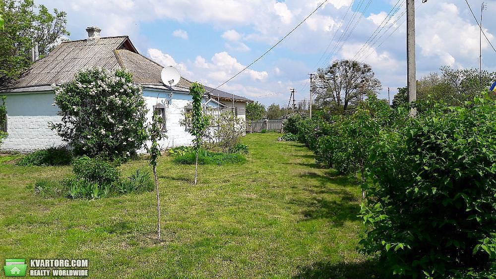 Sell house. Киевская обл., Хоцьки — photo 8