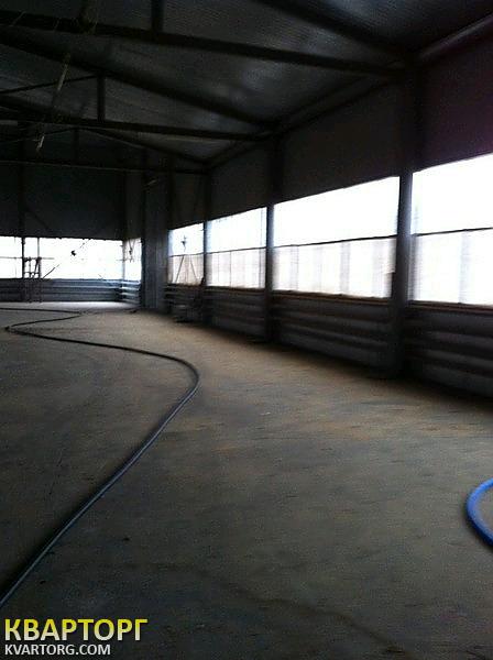 Rent out warehouse. Киев, Бородянский район с. Небрат ул. Гутниченко — photo 6