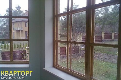 Sell house. Киевская обл., плюты — photo 3
