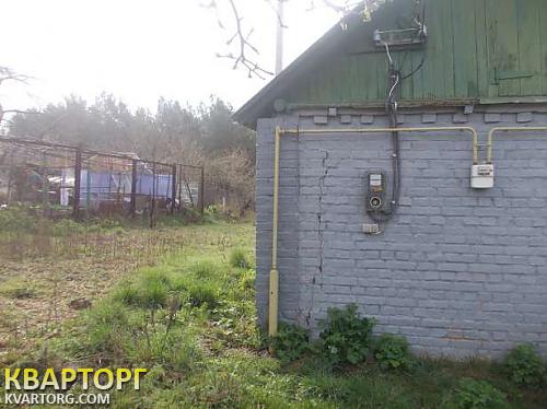 Sell house. Киевская обл., большая офирная — photo 2