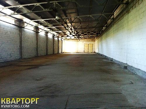 Rent out warehouse. Киев,  Столичное шоссе — photo 6