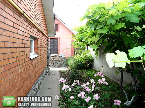 Sell house. Киевская обл., с. ГОТНЕ вул. Курганна — photo 5
