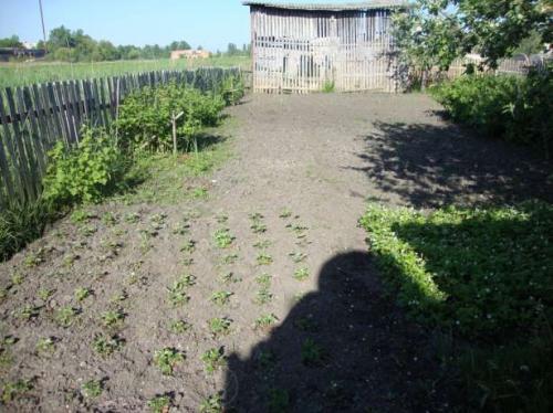 Sell house. Житомир, Огієнка — photo 4