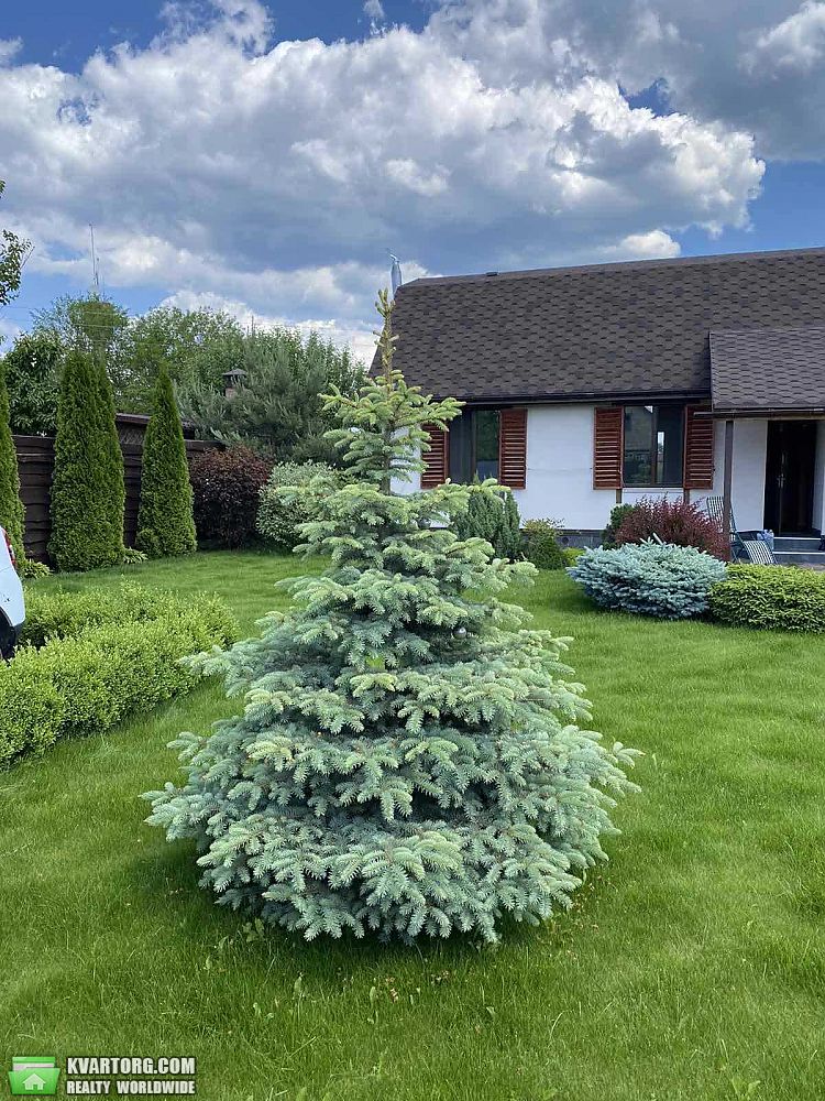 Sell house. Киев, Вишневая — photo 6