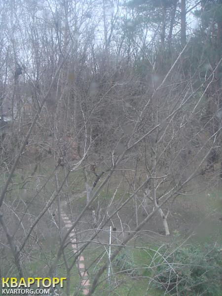 Sell house. Киевская обл., Иванковичи — photo 10